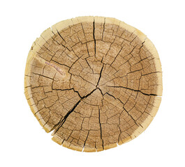 Wall Mural - vintage wood texture from felled tree trunk with growth rings and cracks