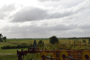 Sticker - Hay Rake in a field