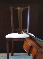 Sticker - Vertical closeup shot of a cello on a wooden chair with a dark background