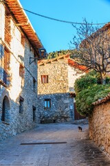 Poster - Vertical shot of an old village covered in green