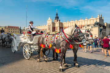 Wall Mural - Horses carriages at Main square in Krakow, Poland