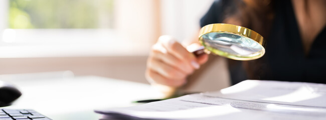 auditor investigating corporate fraud