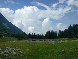 Mountain valley with green grass,trees and clouds on background, Italian Alps.