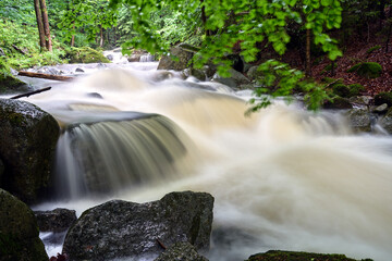 Wall Mural - Rocks and boulders in the mountain stream in the forest in the Giant Mountains