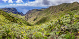Fototapeta  - Panoramic highland green valley landscape, Tenerife, Canary islands, Spain