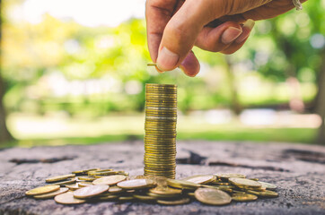 investor business man hand putting money on coins row stack on wood table with blur nature park background. money saving concept for financial banking and accounting.