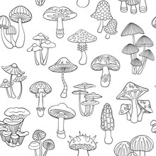 Mushrooms Seamless Pattern