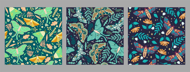 Set of seamless patterns with moths. Vector graphics.