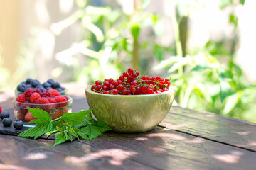 Wall Mural - Organic currant, red currant in bowl on rustic table outdoor