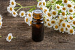 A bottle of tincture with blooming feverfew plant