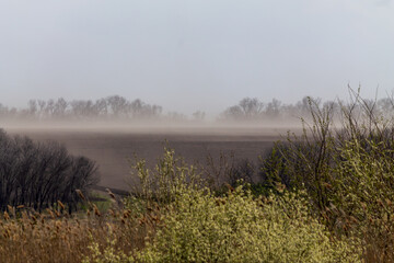 Wall Mural - foggy morning on the river