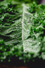 Wall Mural - Fresh curly kale salad over dark rustic background.