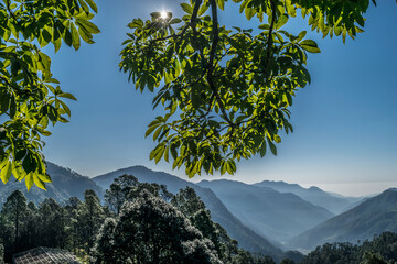 A beautiful sunny day in Himalayan range, The sun is visible from the side of the tree and there is more than a light fog on the hill.