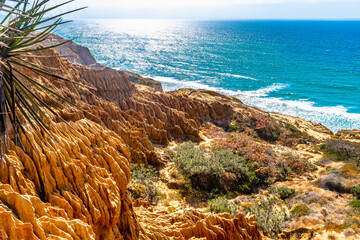 San Diego, California. Sandstone cliffs in desert landscape by the ocean. Torrey Pines State Reserve Park hike trails in Lo Jolla. People hiking in warm sunny dry summer weather.