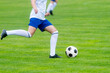 © Augustas Cetkauskas - Young woman soccer player kicks ball on football field. Team sport concept..