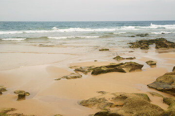 Wall Mural - Ocean shore with boulder covered in seaweed. Morocco