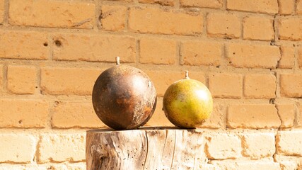 Sticker - Two round candles with the orange brick wall on the background