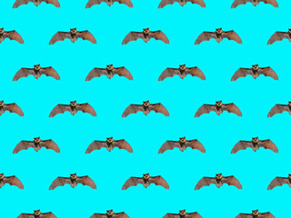 Canvas Print - Small bat, seamless pattern.