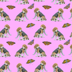 Poster - Dog beagle and butterflies, seamless pattern.