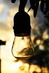 Poster - Vertical closeup shot of a burning light bulb with a sunny background