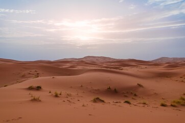 Sticker - Breathtaking hot Sahara Desert gleaming under the sunrays