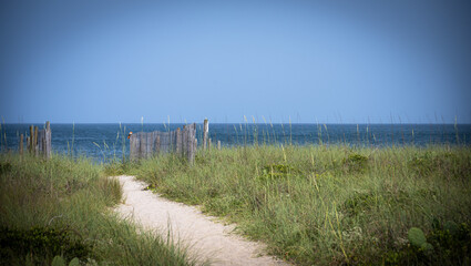 Wall Mural - A sandy pathway through the dunes.