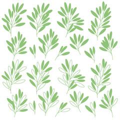 Wall Mural - Silhouette illustration of the plant which is beautiful with simplicity,