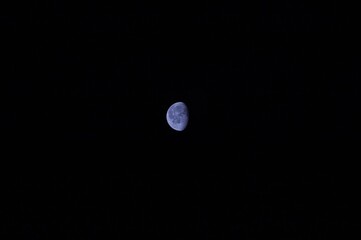 Canvas Print - Moon on black background