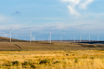 Windmill farm in Washington state countryside.