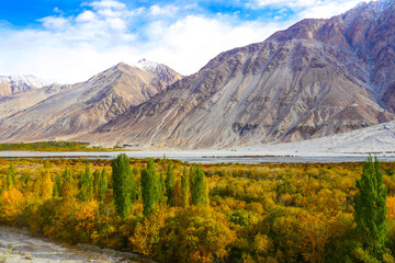 Sticker - Landscape view of Ladakh India.
