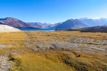 Wall Mural - Pangong lake  in Ladakh, India.