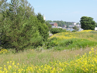 Sticker - Meadow and houses, Suomenlinna, Finland