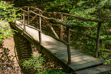 Idyllic old bridge in a forest