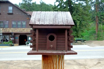 Canvas Print - Beautiful mini house for the birds made of timber and put in the street