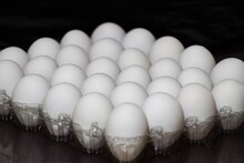 Close Up Shot Of An Egg Carton In A Black Background