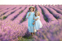 A Child In Lavender. Beautiful Girl In A Field With Lavender.