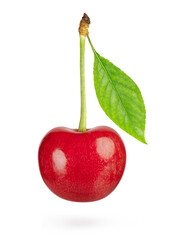 Sticker - One cherry fruit with green leaf isolated on white