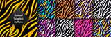 Fototapeta Fototapeta z zebrą - Trendy wild animal seamless pattern set. Hand drawn fashionable tiger, zebra striped skin abstract texture for fashion print design, fabric, textile, wrap, background, wallpaper. Vector illustration