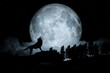 Howling Wolf Dark Background. Full Moon and the Wilderness. 3d illustration