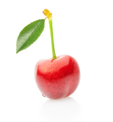 one sweet cherry isolated on white. bright color