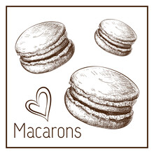 Hand Drawn Cute Macarons Isolated On White. Vector Sketch Of Macaroons In Vintage Style. Engraved Pastry Illustration. Sweet Dessert Clipart For Label, Logo, Bakery Menu, Posters Design. Doodle Set
