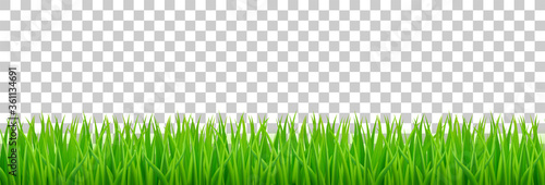 Cuadros en Lienzo Green grass on spring lawn or field