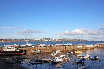 Wall Mural - Boats in Paignton Harbour, Torbay