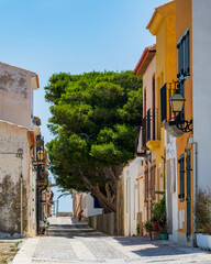 Poster - Streets of Island of Tabarca in province of Alicante,  Spain.