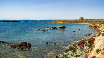 Poster - Island of Tabarca in Spain. Crystal-clear turquoise water. Province of Alicante. Spain