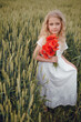 © Олег Кошевський - beautiful little girl with blond hair in a white dress in the background of a beautiful field. Girl with a bouquet of red poppies