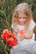 © Олег Кошевський - beautiful little girl with blond hair in a white dress in the background of a beautiful field. Girl with a bouquet of red poppies