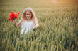 © Олег Кошевський - beautiful little girl with blond hair in a white dress in the background of a beautiful field. Girl with a bouquet of red poppies