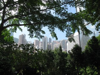 Wall Mural - Low angle shot of Honk Kong's cityscape on green trees foreground