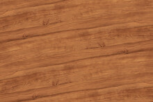 Cedar Wood Tree Timber Background Texture Structure